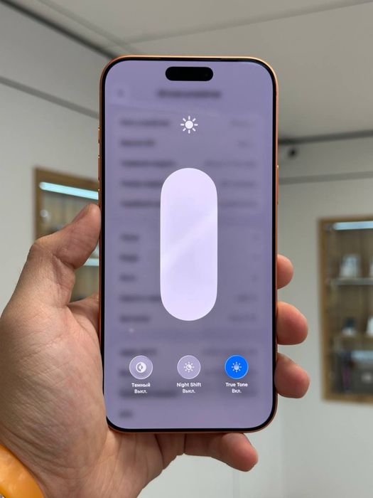 iPhone 17 Pro Max | 256 GB