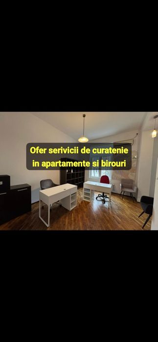 Fata serioasa ofer servicii de curatenie  la domicilu