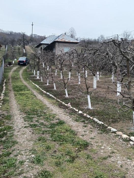 Casă cu teren de vânzare