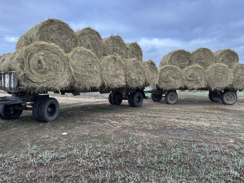 Прицеп сеновозка ОДАЗ