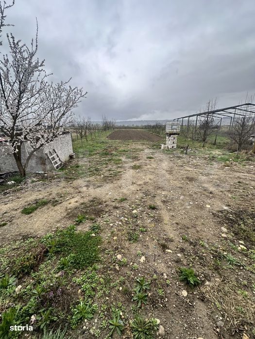 Proiect Casa Si Teren Intravilan Generos
