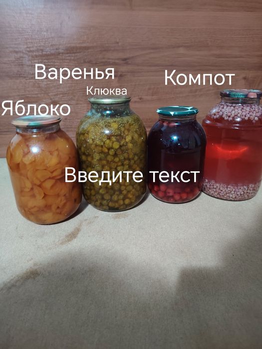 Солонина 2025 год