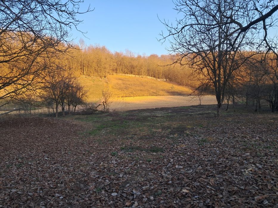 Vând teren intravilan