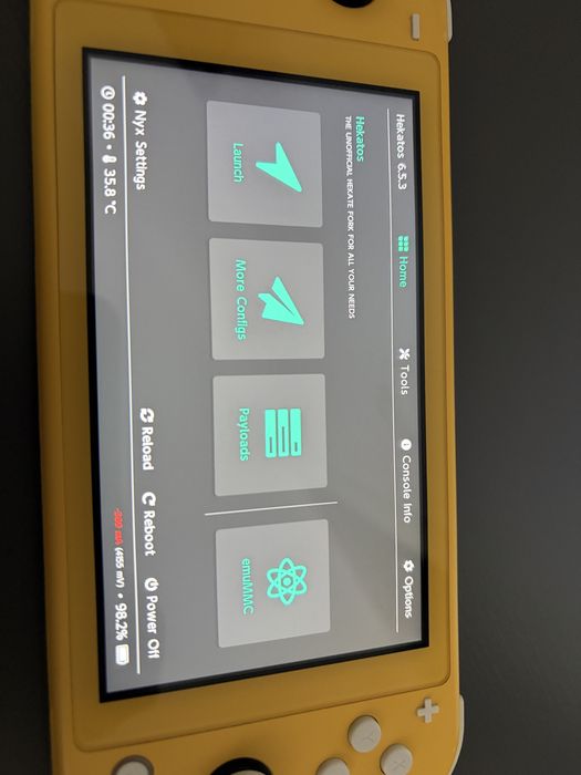 Nintendo switch lite modat picofly