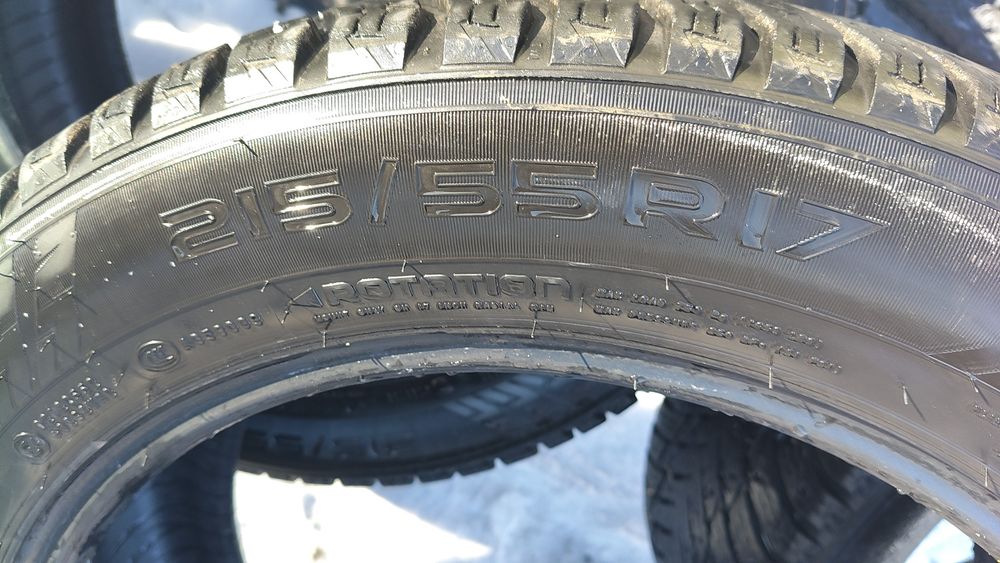 Шины нокиан хакапелита 10