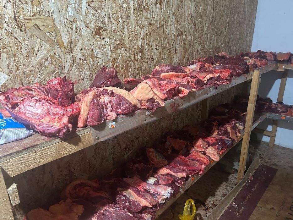 Продам байтал сирақтап