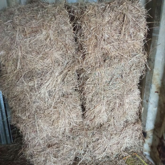 Тариг хашак аралаш прес сотилади