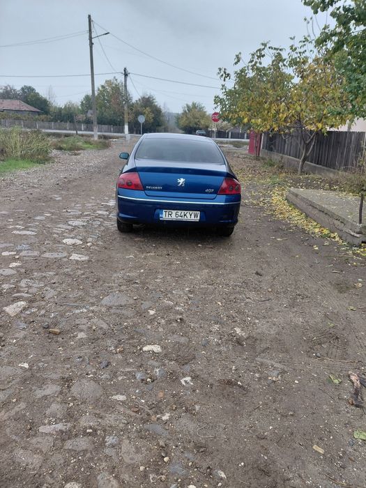 Vand Peugeot 407