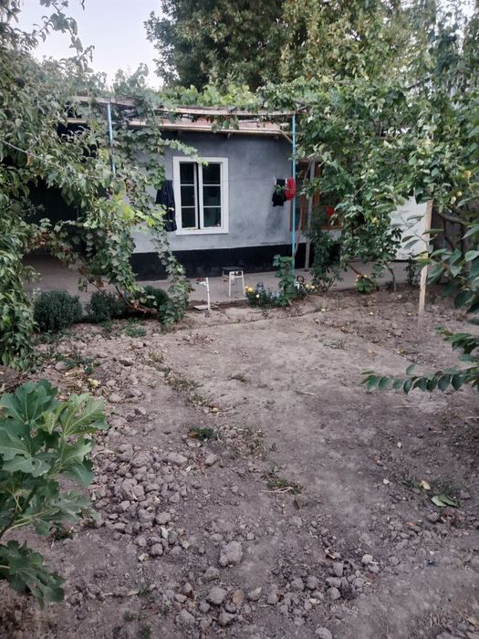 продаётся дом в чирчике