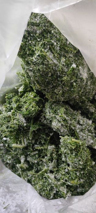 Укроп замороженный домашний