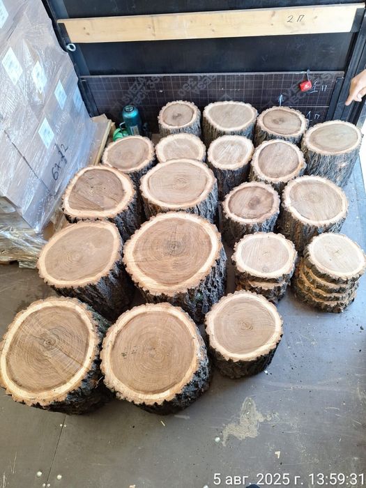 Продам карагач пеньки