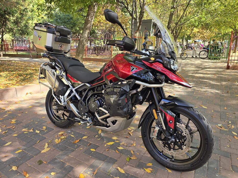 Triumph Tiger 900 GT Pro 2025