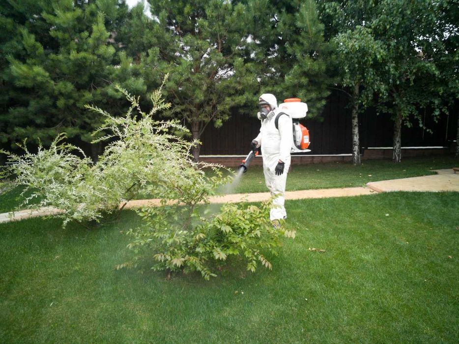 Dezinfeksiya dezenfeksiya Уничтожение тараканов клопов Дезинфекция