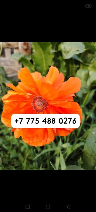 Продаётся дом из 4х жилых комнат