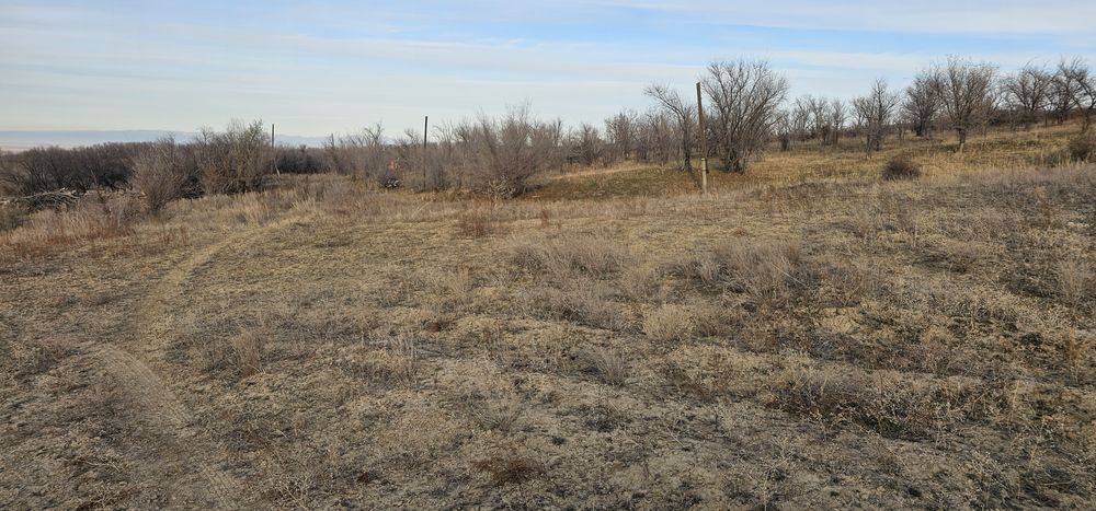 Земельный участок