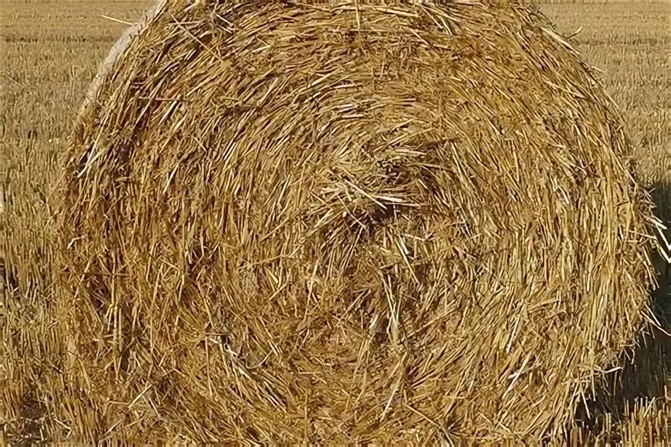 Продам солому хорошего качества