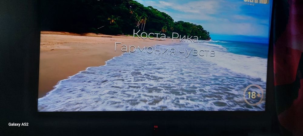 Сони телевизор бравия