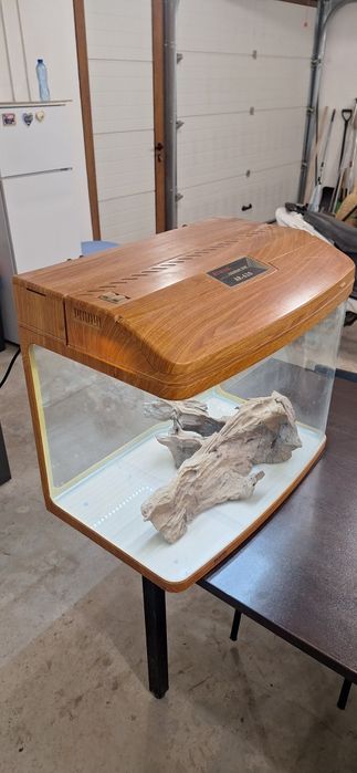 Аквариум за рибки