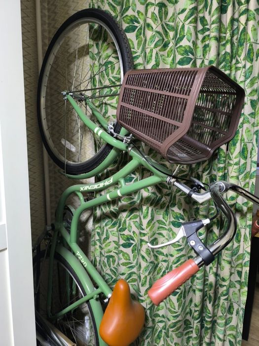 Велосипед Phoenix Aurora Plus