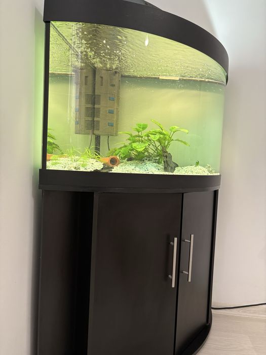 Vand Acvariu  cu Stand 190 Litri