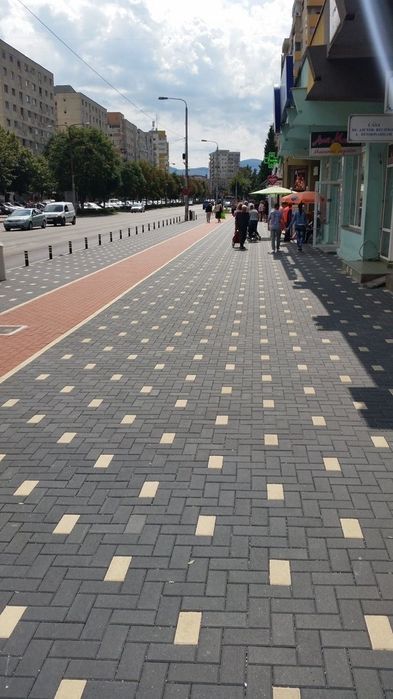 Amenajari spati verzi si pavaje !