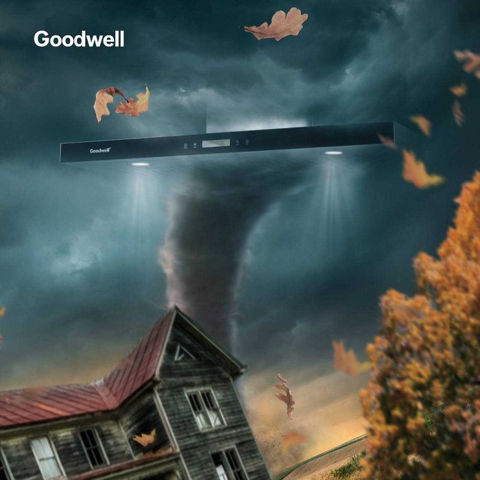 Goodwell вытяжка Модернизированного типа (Т-образная) Доставка