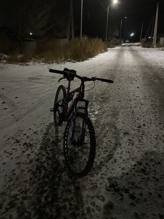 Велосипед двух подвес пегас