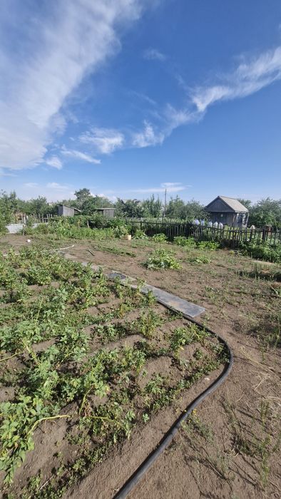 продам дачу в садоводстве Северный