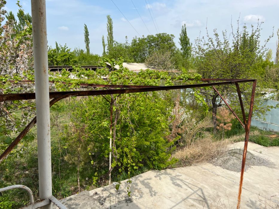 Готовая дача всеми условиями. Таёр дача