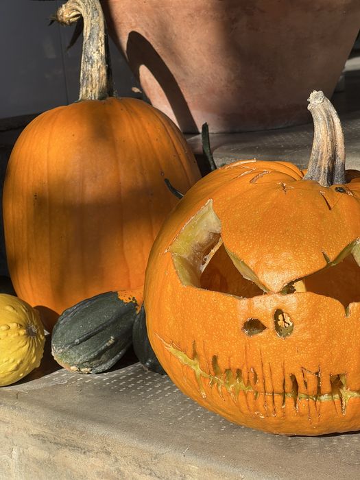 Dovleac decoratiune/ halloween