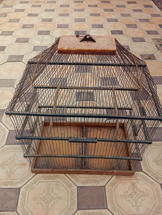 Қушлар учун қафас