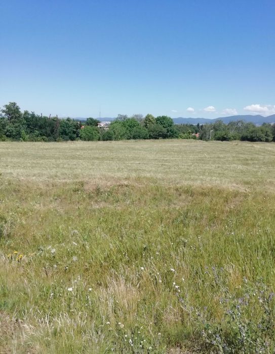 Дава се под наем Парцел в с. Горни Богров, Област София-град - 1249 кв.м за 1530 € - Снимка #3