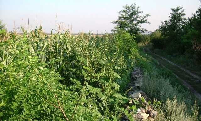 Стара къща в Златия