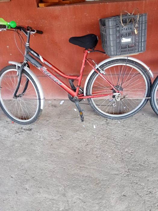 Biciclete adulți