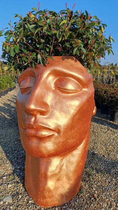 Tot pentru gradina ta