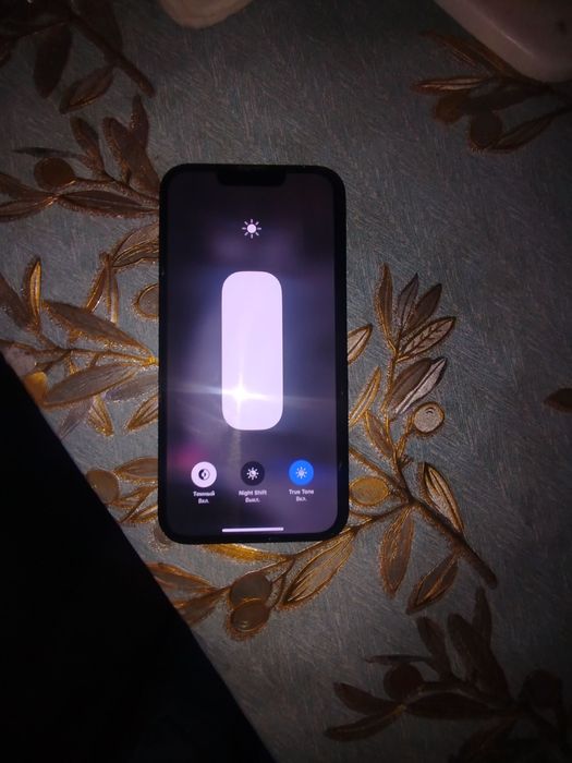 Iphone13pro ideal zur