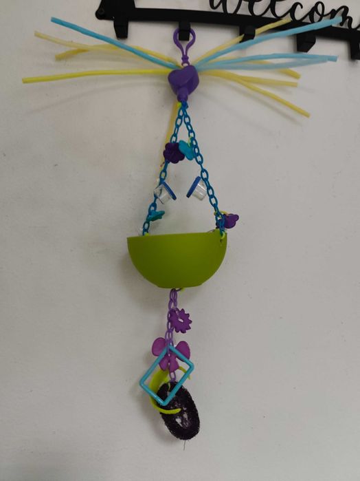 Захарна летяща катеричка