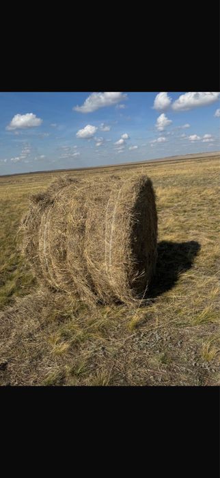 Продается Сено свежее