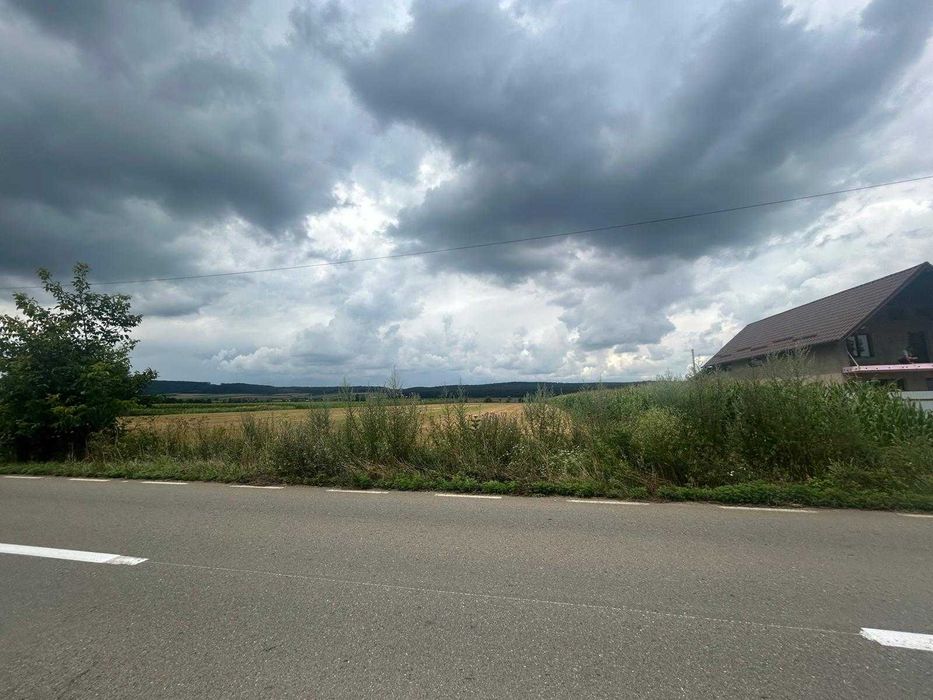 Teren 3.600 mp Ingărești cu acces la drum judetean - 5 €/mp