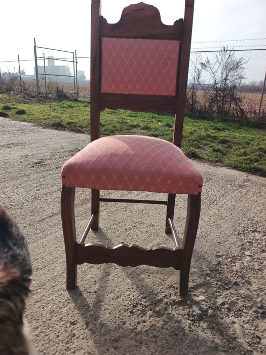 Vând scaune lemn masiv import Italia