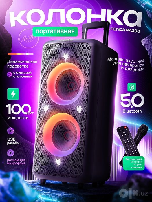 Колонка с микрофоном  Портативная колонка Fenda PA300 100W  сабвуфер