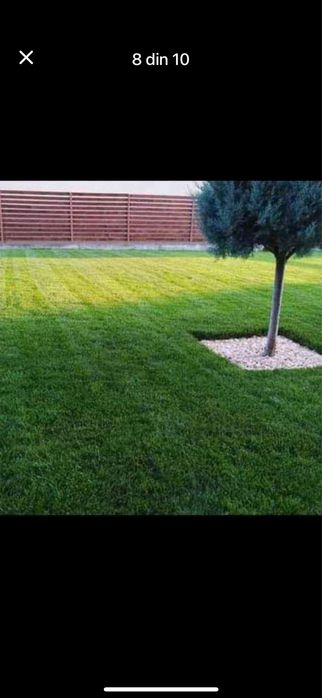 Gazon profesional rulou – soluția perfectă pentru o curte elegantă și îngrijită