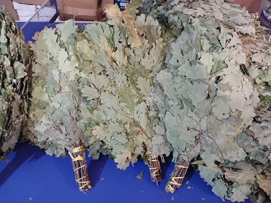 Продам веники пихтовые, дубовые