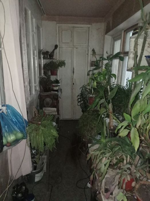 Продам чиланзар 6.  Трёх комнатная.  Балкон 2*6