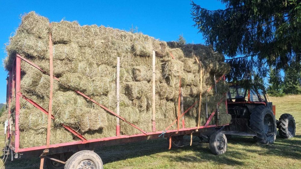 Baloți din fân de câmp