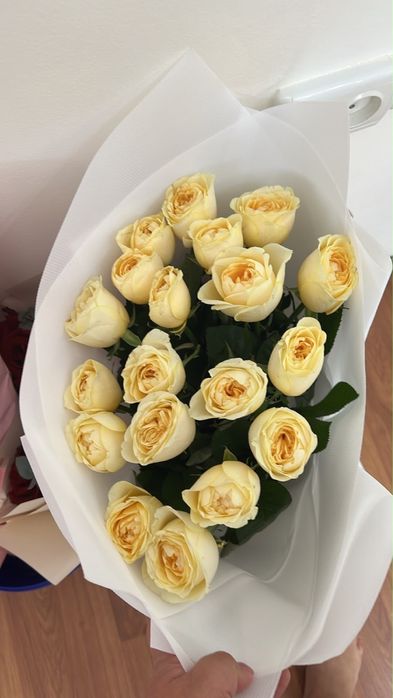 продам цветы свежие