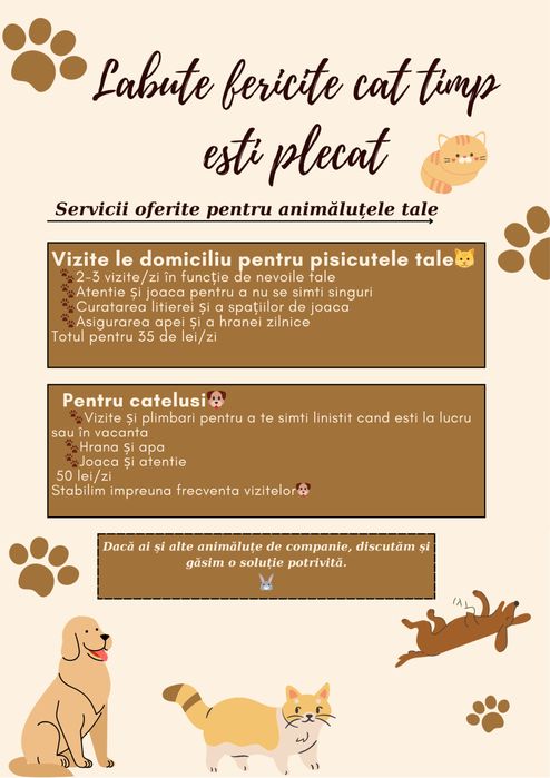 Pet Sitter Brasov