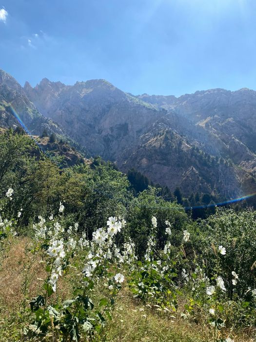 40+ Лёгкие Оздоровительные походы в Горы для взрослых..