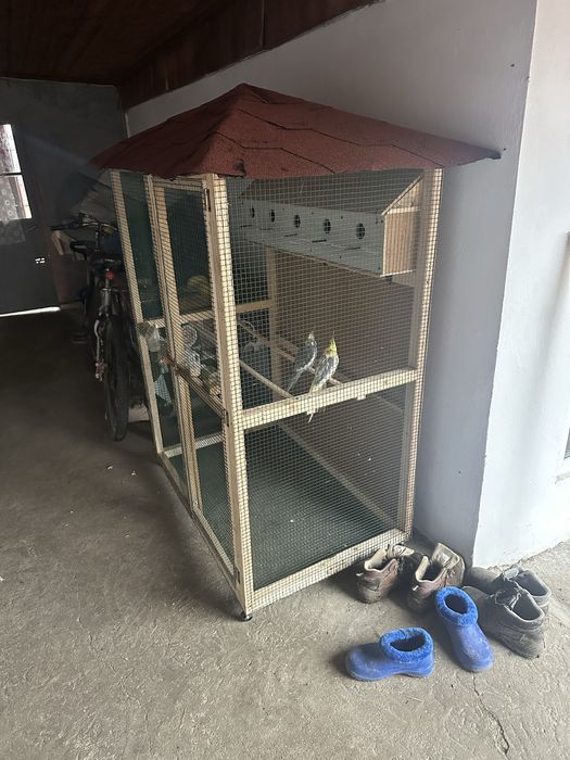 Vand voliera pentru papagali