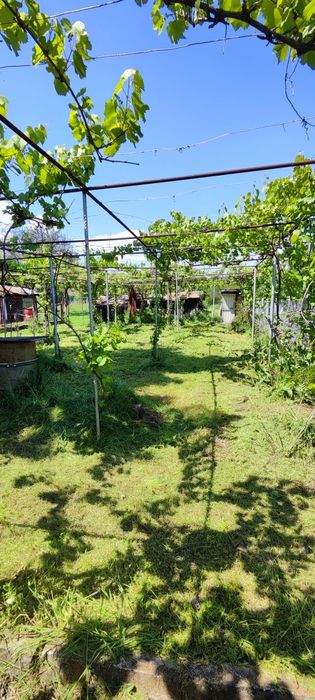 Продава се Парцел в Ловеч, Продимчец - 1300 кв.м за 14 €/кв.м - Снимка #4